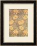 Chrysanthemum Wallpaper Design, 1876 by William Morris Limited Edition Print