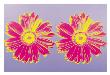 Daisy, C.1982 (Double Pink) by Andy Warhol Limited Edition Print