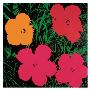 Flowers, C.1964 (Red, Yellow, Pink) by Andy Warhol Limited Edition Print