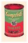 Campbell's Soup Can, C.1965 (Green And Red) by Andy Warhol Limited Edition Pricing Art Print