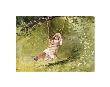 Girl On A Swing by Winslow Homer Limited Edition Print