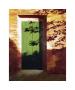 Green Door by Helen Vaughn Limited Edition Pricing Art Print