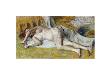 After The Bath by Edgar Degas Limited Edition Print