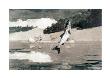 Flying Fish On Lake John by Winslow Homer Limited Edition Pricing Art Print