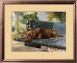 Thank Goodness It's Friday (Choc. Lab) by Barbara Shipman Limited Edition Print