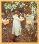 Carnation, Lily, Lily, Rose by John Singer Sargent Limited Edition Print