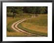 Road Winding Through Meadow, Kentucky, Usa by Adam Jones Limited Edition Pricing Art Print