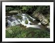 Cascade On Little River, Great Smoky Mountains National Park, Tennessee, Usa by Adam Jones Limited Edition Print