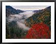Autumn View Of Fog From Morton Overlook, Great Smoky Mountains National Park, Tennessee, Usa by Adam Jones Limited Edition Pricing Art Print