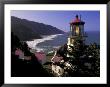 Heceta Head Lighthouse, Florence, Oregon, Usa by Adam Jones Limited Edition Pricing Art Print