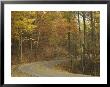 Road Winding Through Autumn Colors, Pine Mountain State Park, Kentucky, Usa by Adam Jones Limited Edition Print
