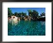 Venetian Pool, Coral Gables, Miami, Fl by Robin Hill Limited Edition Print