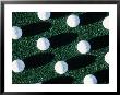 Golf Balls On Grass by Guy Crittenden Limited Edition Pricing Art Print