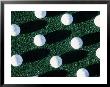 Golf Balls On Grass by Guy Crittenden Limited Edition Print