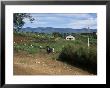 People Leaving Church On A Sunday, Fort Portal, Uganda, East Africa, Africa by David Poole Limited Edition Print