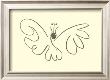 The Butterfly by Pablo Picasso Limited Edition Print