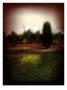 Green Dusk Ii by Miguel Paredes Limited Edition Print