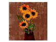 Three Sunflowers V by Miguel Paredes Limited Edition Pricing Art Print