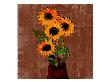 Three Sunflowers V by Miguel Paredes Limited Edition Print