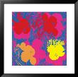 Flowers, C.1970 (Red, Yellow, Orange On Blue) by Andy Warhol Limited Edition Print