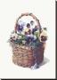 Rustic Pansy Basket by Mary Kay Krell Limited Edition Print