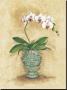 Classic Orchid Ii by Peggy Abrams Limited Edition Print