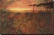 Fire Sky by Art Fronckowiak Limited Edition Pricing Art Print