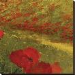 Poppies Of Toscano Ii, No. 15 by Art Fronckowiak Limited Edition Pricing Art Print