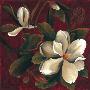 Summer Magnolia I by Mary Beth Zeitz Limited Edition Print