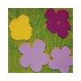 Flowers, C.1970 (Yellow, Lilac, Purple) by Andy Warhol Limited Edition Pricing Art Print
