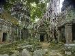 Strangler Fig Trees And Creeping Lichens Devour Ruins At Ta Prohm by Robert Clark Limited Edition Print