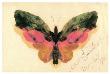 Butterfly by Albert Bierstadt Limited Edition Print