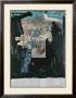 Decoy by Jasper Johns Limited Edition Print