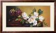 Magnolia With Grapes by Fran Di Giacomo Limited Edition Print