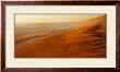 Cape Cod Shore by William Neill Limited Edition Print