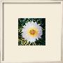 Daisy For Rain Machine Installation, C.1960-1980 by Andy Warhol Limited Edition Pricing Art Print