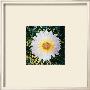 Daisy For Rain Machine Installation, C.1960-1980 by Andy Warhol Limited Edition Print