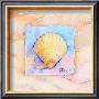 Scallop by Paul Brent Limited Edition Print