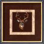 Deer Portrait by Judy Gibson Limited Edition Pricing Art Print