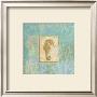 Seahorse I by John Zaccheo Limited Edition Print