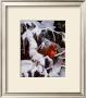 Winter Refuge by Alan Sakhavarz Limited Edition Pricing Art Print