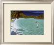 Trunk Bay by Dan Mackin Limited Edition Print