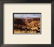 Canyon Mustangs by John Leone Limited Edition Pricing Art Print