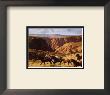 Canyon Mustangs by John Leone Limited Edition Print