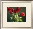 Red Tulips by Helen Vaughn Limited Edition Pricing Art Print