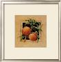 Peach Square by Barbara Mock Limited Edition Print