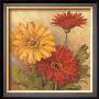 Gerber Daisies Ii by Barbara Mock Limited Edition Print