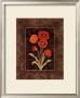 Damask Poppies by Paul Brent Limited Edition Pricing Art Print