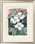 Dogwood by Paul Brent Limited Edition Print