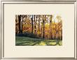 Early Fall Trees by Helen Vaughn Limited Edition Pricing Art Print